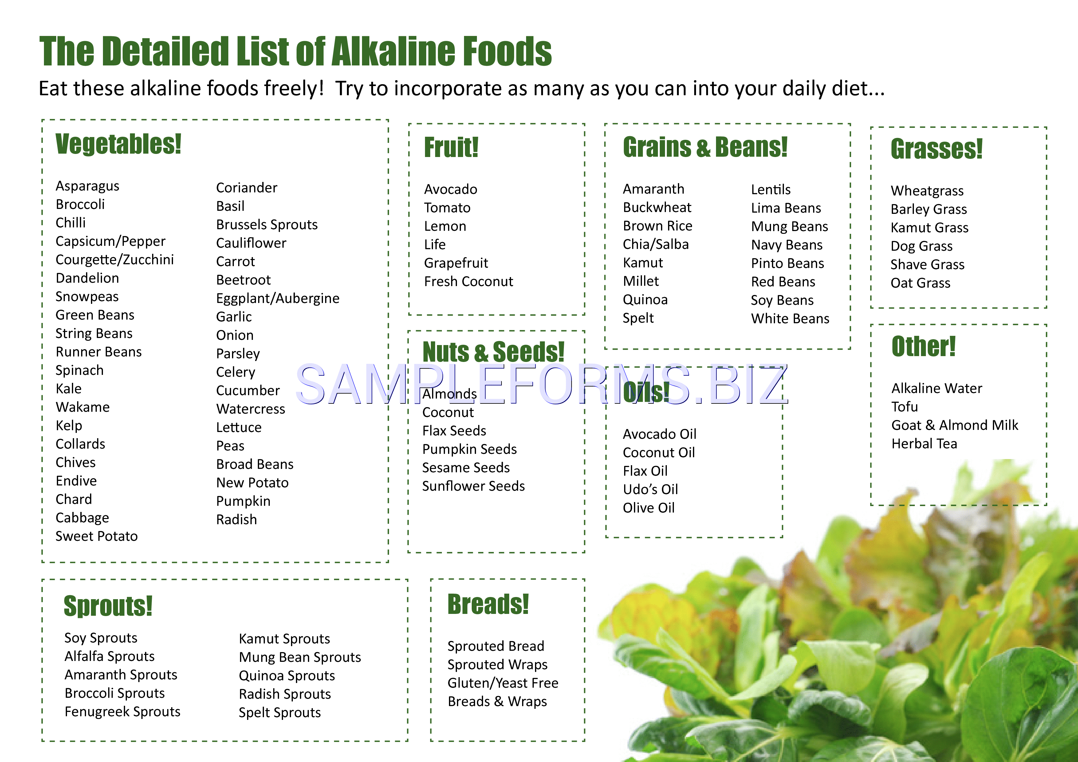 Preview free downloadable Acid Alkaline Food Chart 2 in PDF (page 5)